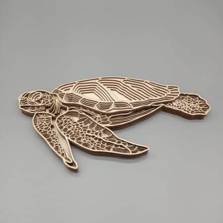 Tortue 3d