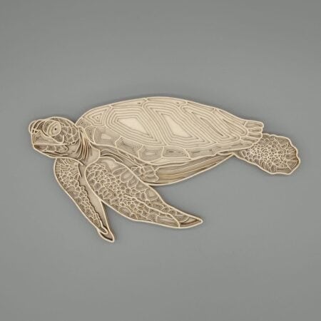 Tortue 3d